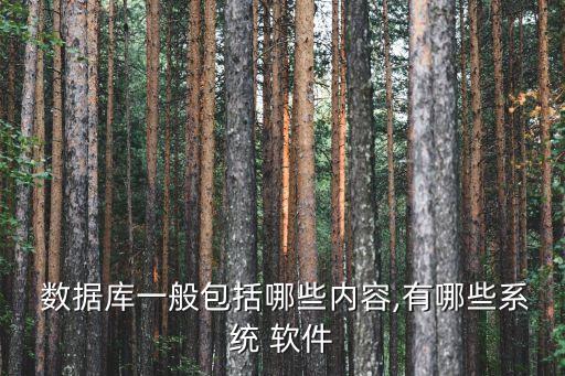 數(shù)據(jù)庫一般包括哪些內(nèi)容,有哪些系統(tǒng) 軟件