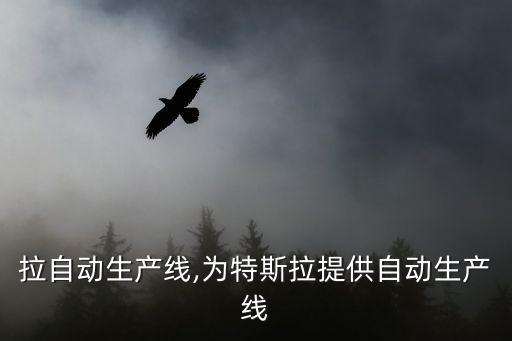 特斯拉自動生產(chǎn)線,為特斯拉提供自動生產(chǎn)線