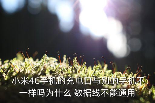 小米4c數據線真?zhèn)?小米數據線二維碼查詢真?zhèn)? /></a><a href=