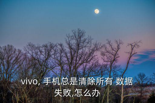 vivo, 手機(jī)總是清除所有 數(shù)據(jù)失敗,怎么辦