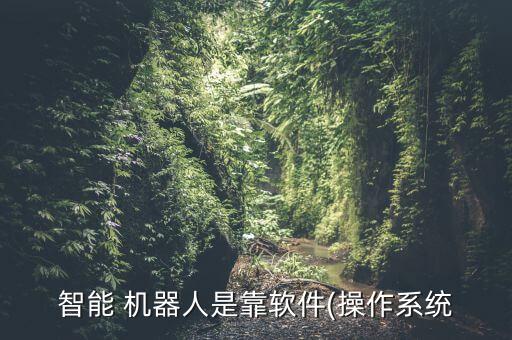 智能 機器人是靠軟件(操作系統(tǒng)