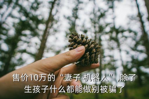 售價10萬的“妻子 機器人”,除了生孩子什么都能做別被騙了