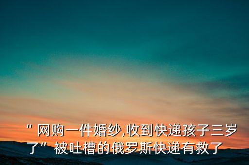 2013國外網(wǎng)購數(shù)據(jù)
