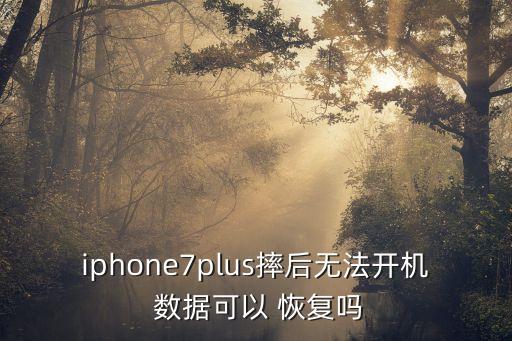 iphone7plus摔后無(wú)法開(kāi)機(jī) 數(shù)據(jù)可以 恢復(fù)嗎