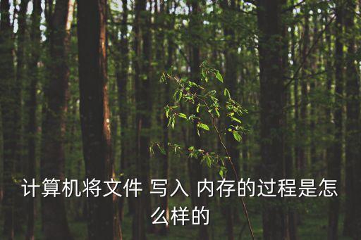 數(shù)據(jù)寫入內(nèi)存什么意思,從計(jì)算機(jī)內(nèi)存中將數(shù)據(jù)寫入文件
