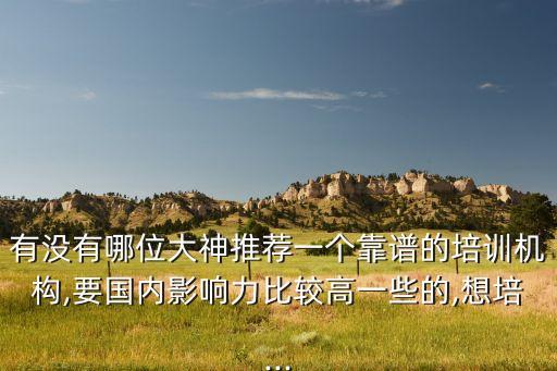 有沒(méi)有哪位大神推薦一個(gè)靠譜的培訓(xùn)機(jī)構(gòu),要國(guó)內(nèi)影響力比較高一些的,想培...