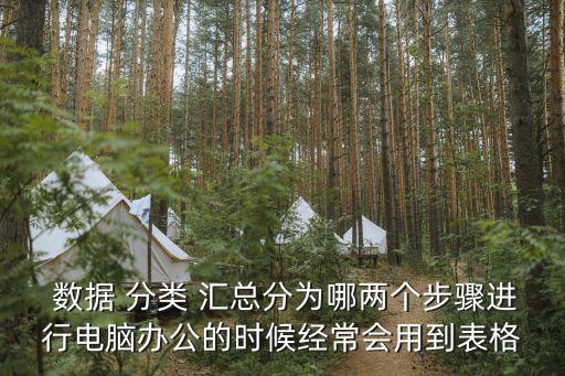  數(shù)據(jù) 分類 匯總分為哪兩個步驟進(jìn)行電腦辦公的時候經(jīng)常會用到表格
