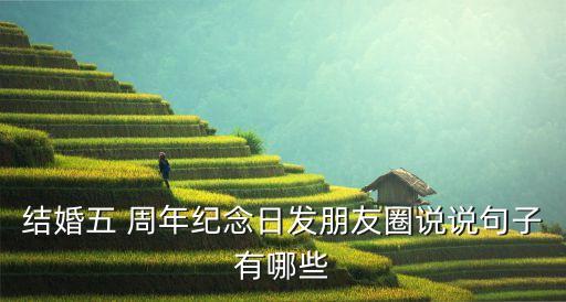 我的五周年個(gè)人趣味數(shù)據(jù)