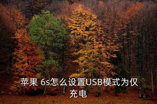  蘋果 6s怎么設(shè)置USB模式為僅充電