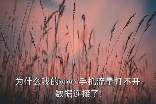 手機(jī)數(shù)據(jù)開啟不了怎么回事,手機(jī)突然用不了數(shù)據(jù)流量了,這是怎么回事
