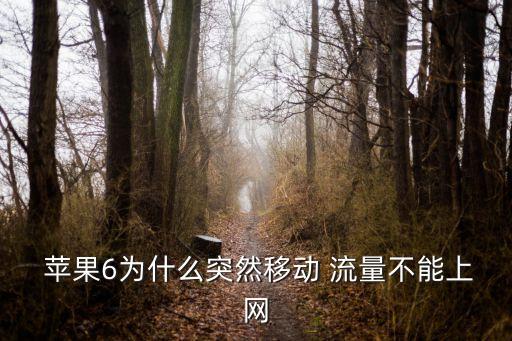  蘋果6為什么突然移動 流量不能上網(wǎng)