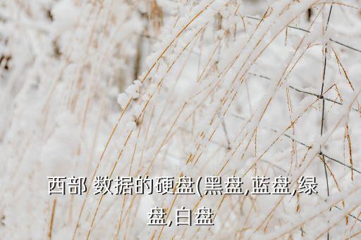 西部數(shù)據(jù)nas 掛pt