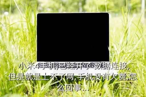  小米4手機(jī),已經(jīng)開了 數(shù)據(jù)連接,但是就是上不了網(wǎng),手機(jī)沒有欠費(fèi),怎么回事...