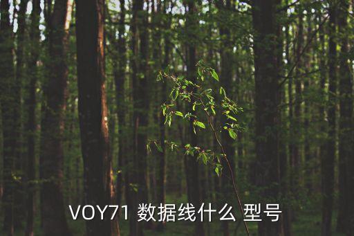 vivox7數(shù)據(jù)線的型號