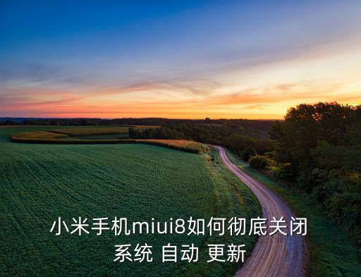 小米怎么不自動(dòng)更新系統(tǒng)時(shí)間,小米系統(tǒng)自動(dòng)更新在哪里關(guān)閉