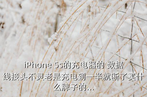 蘋(píng)果5s數(shù)據(jù)線什么品牌好嗎？