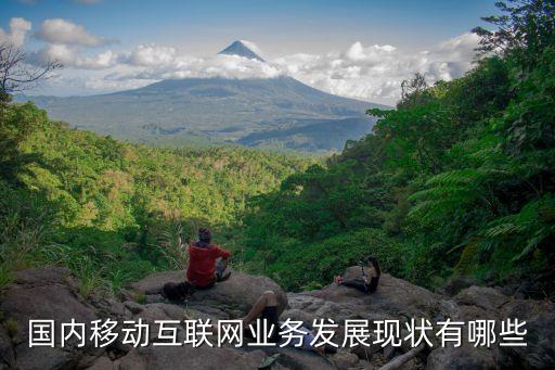 國內移動互聯(lián)網(wǎng)業(yè)務發(fā)展現(xiàn)狀有哪些