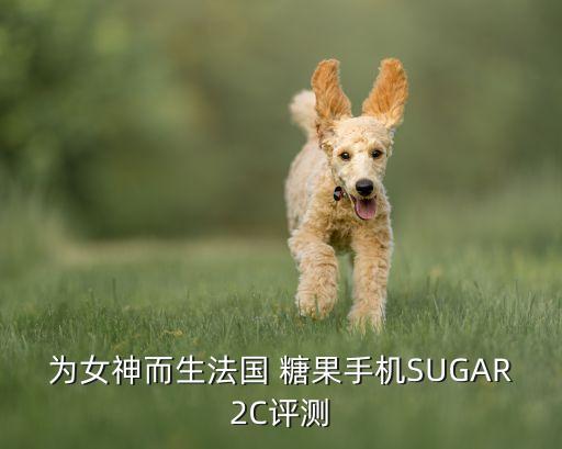 為女神而生法國 糖果手機SUGAR2C評測