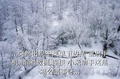 ...突然出現(xiàn)主菜單下邊是 重啟手機,清除 數(shù)據(jù),連接 小米助手這是怎么回事呀...