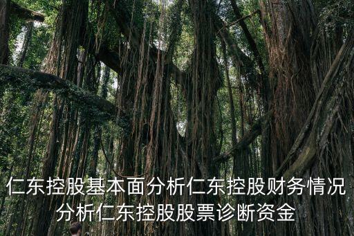 仁東控股基本面分析仁東控股財務(wù)情況分析仁東控股股票診斷資金