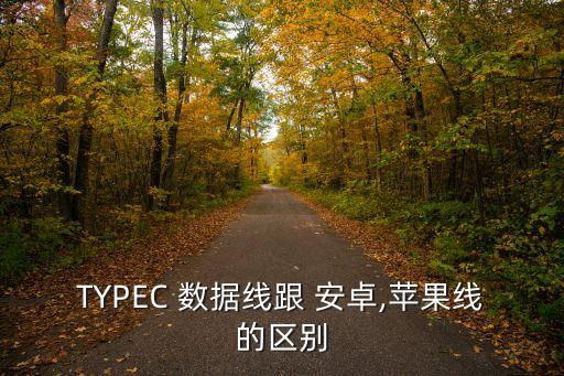 TYPEC 數(shù)據(jù)線跟 安卓,蘋果線的區(qū)別