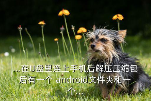 ...在U盤里連上手機(jī)后解壓壓縮包后有一個(gè) android文件夾和一個(gè)...