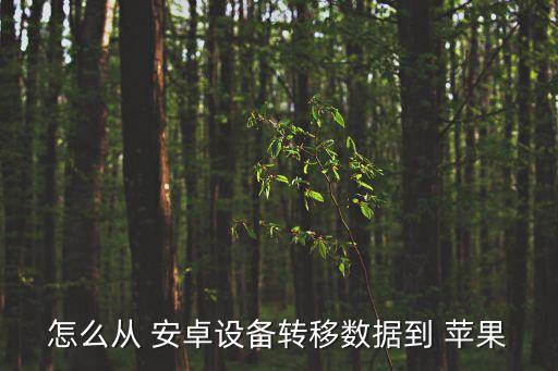 怎么從 安卓設(shè)備轉(zhuǎn)移數(shù)據(jù)到 蘋果