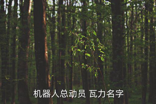  機(jī)器人總動(dòng)員 瓦力名字