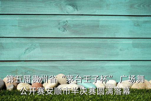 第五屆貴州省“茅臺(tái)王子杯” 廣場(chǎng)舞公開賽安順市半決賽圓滿落幕