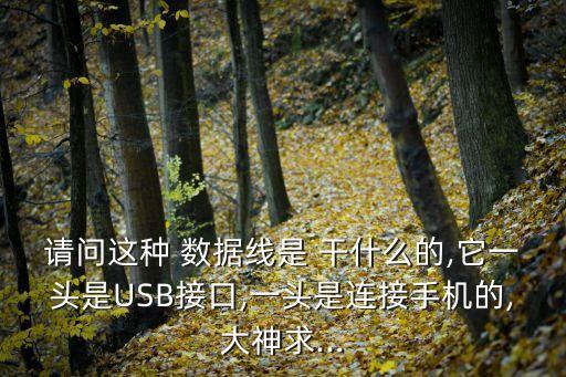 請問這種 數(shù)據(jù)線是 干什么的,它一頭是USB接口,一頭是連接手機(jī)的,大神求...