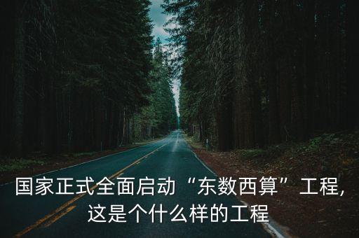 我國國家級大型數(shù)據(jù)中心,我國大型數(shù)據(jù)中心利用率