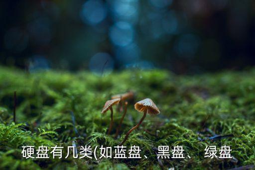 西部數(shù)據(jù) 綠盤 固態(tài)