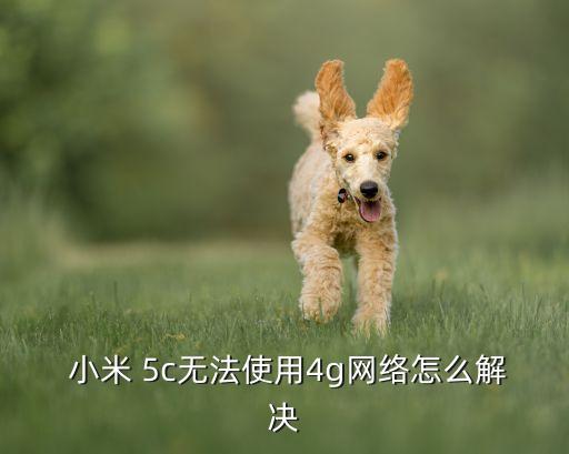  小米 5c無法使用4g網(wǎng)絡(luò)怎么解決
