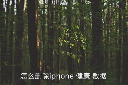 怎么刪除iphone 健康 數(shù)據