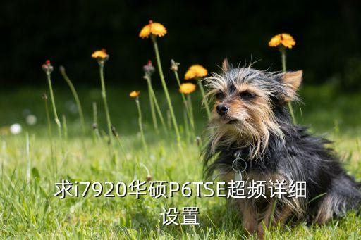 求i7920華碩P6TSE超頻詳細(xì)設(shè)置