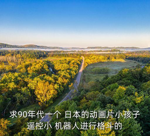 求90年代一個 日本的動畫片小孩子遙控小 機(jī)器人進(jìn)行格斗的