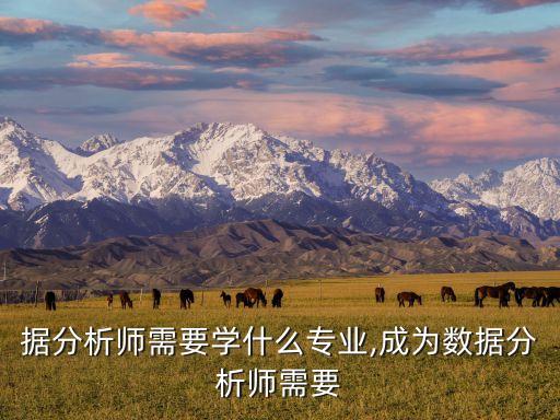 大數(shù)據(jù)分析師需要學(xué)什么專業(yè),成為數(shù)據(jù)分析師需要