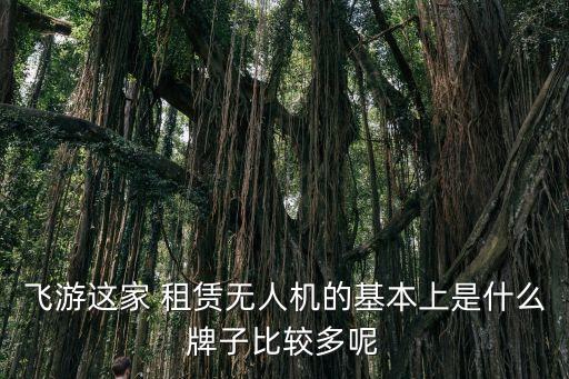 飛游這家 租賃無人機的基本上是什么牌子比較多呢