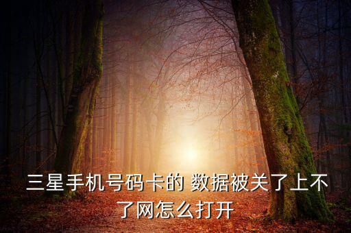 三星移動(dòng)數(shù)據(jù)被禁用,禁用移動(dòng)數(shù)據(jù)是打開(kāi)好還是關(guān)閉才好