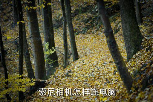  索尼相機(jī)怎樣連電腦