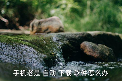 手機(jī)老是 自動(dòng) 下載 軟件怎么辦
