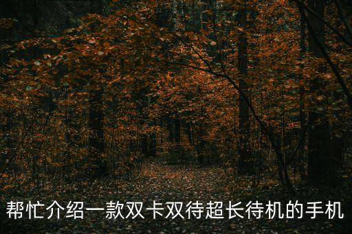 幫忙介紹一款雙卡雙待超長待機的手機
