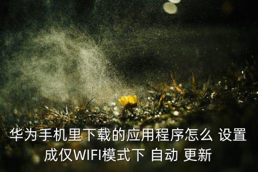 如何設(shè)置app自動(dòng)更新,蘋果怎么設(shè)置APP自動(dòng)更新