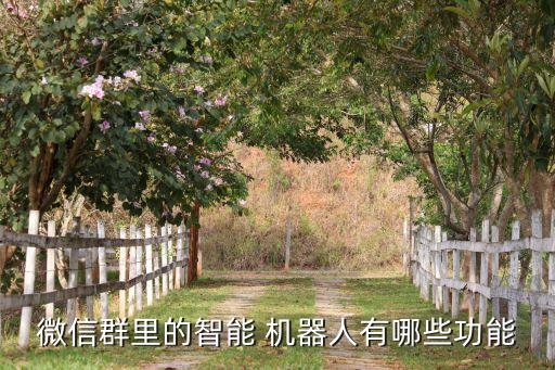 微信群里的智能 機(jī)器人有哪些功能