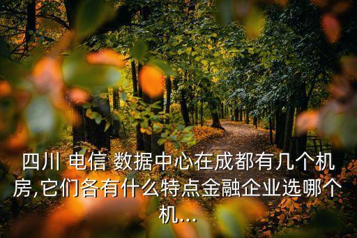 四川 電信 數(shù)據(jù)中心在成都有幾個(gè)機(jī)房,它們各有什么特點(diǎn)金融企業(yè)選哪個(gè)機(jī)...