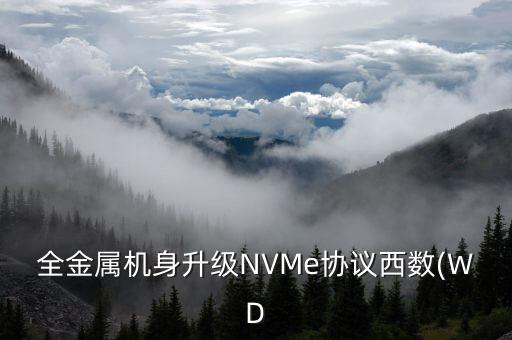 西部數(shù)據(jù) 固態(tài)硬盤評測