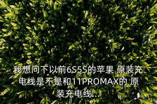 我想問下以前6S5S的蘋果 原裝充電線是不是和11PROMAX的 原裝充電線...