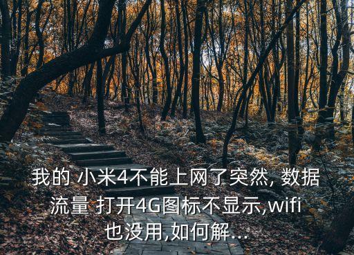 小米4打開數(shù)據(jù)無反應,小米11數(shù)據(jù)網(wǎng)絡打開了為什么不能用?