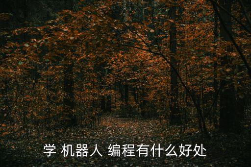 機(jī)器人編程c