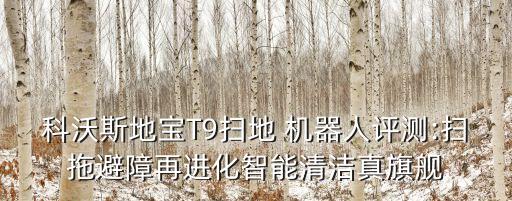 科沃斯地寶T9掃地 機(jī)器人評(píng)測:掃拖避障再進(jìn)化智能清潔真旗艦